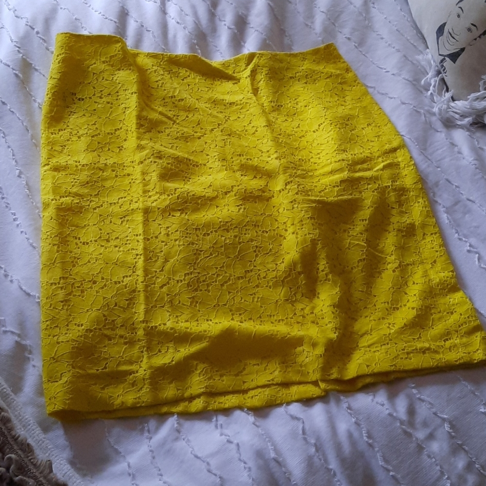 Ann Taylor skirt